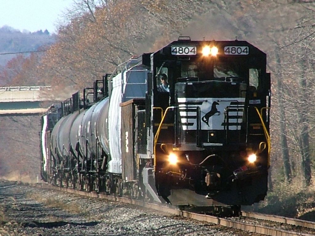 NS 4804
